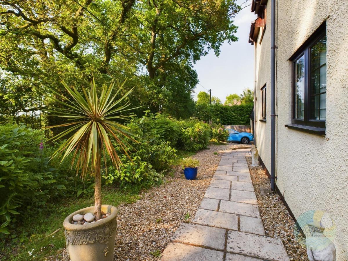 Sundowner - Axminster Devon Βίλα Εξωτερικό φωτογραφία